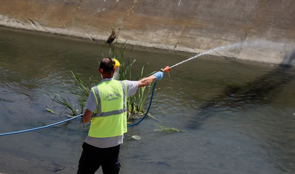 VATANDAŞLARIN RAHATI İÇİN VEKTÖRLE MÜCADELE TÜM HIZIYLA DEVAM EDİYOR