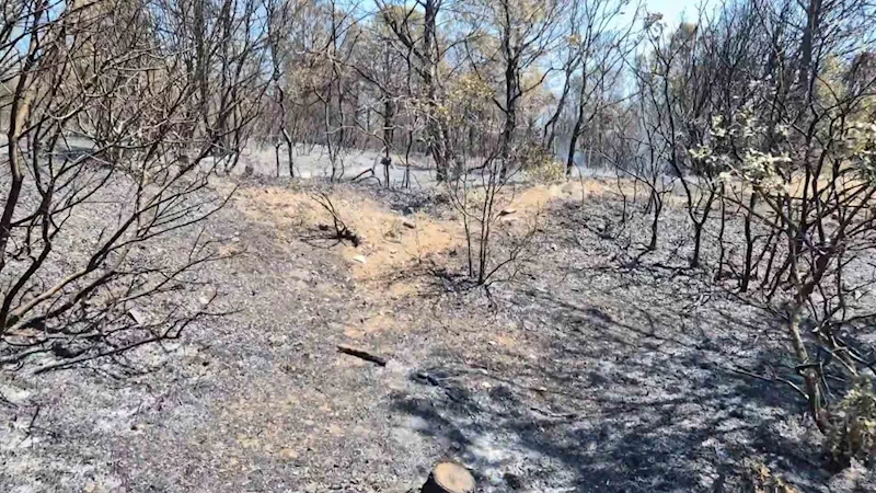 ŞARKÖY’DE ÇIKAN ORMAN YANGINI HAVADAN VE KARADAN MÜDAHALEYLE KONTROL ALTINA ALINDI