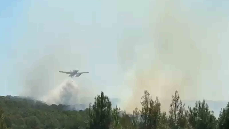 ŞARKÖY’DE ORMANLIK ALANDA ÇIKAN YANGINA KARADAN VE HAVADAN MÜDAHALE EDİLİYOR