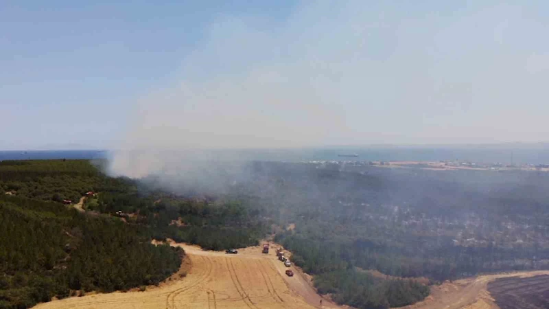TEKİRDAĞI’NDA ORMANLIK ALANDA YANGINA MÜDAHALE SÜRÜYOR