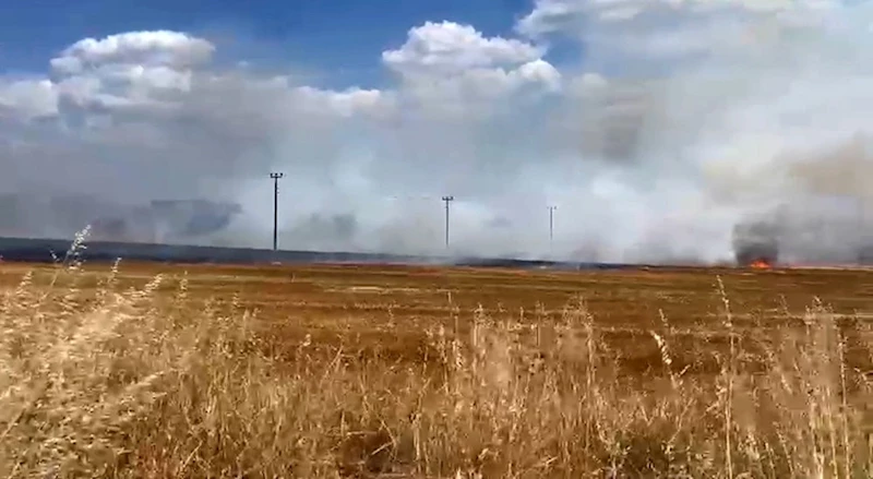 TEKİRDAĞ’DA ANIZ YANGINI MAHALLEYİ TEHDİT ETTİ