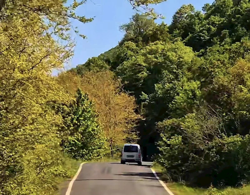 TEKİRDAĞ’DA ORMANLARA GİRİŞLER YASAKLANDI