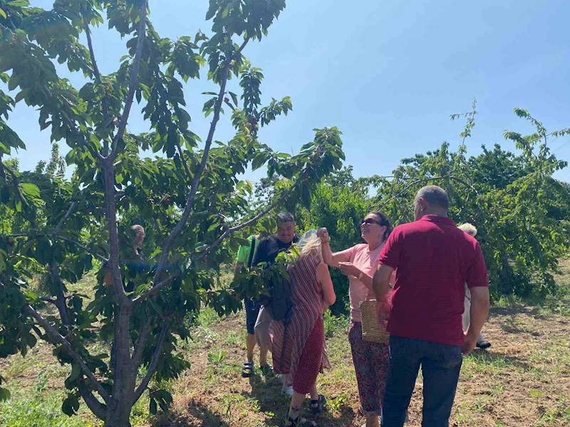 YEŞİLÇAM YILDIZI SAVAŞ’TAN NOSTALJİK ZİYARET: GELENEKSEL KIYAFETİYLE KİRAZ TOPLADI