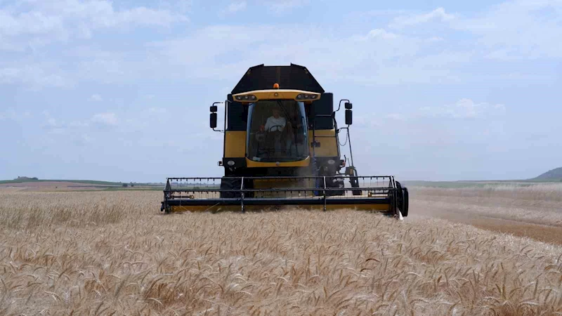 TÜRKİYE’NİN BUĞDAY MERKEZLERİNDEN EDİRNE’DE ÇİFTÇİNİN YÜZÜ GÜLÜYOR