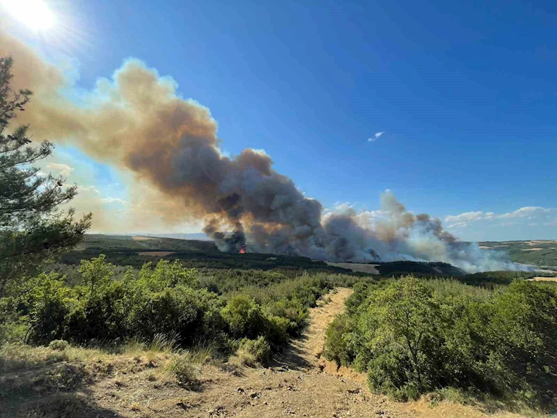 TEKİRDAĞ’DA ORMAN YANGINI