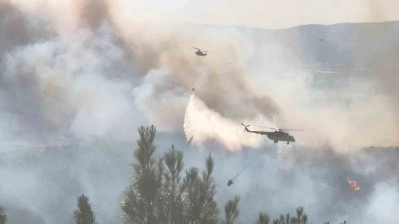 TEKİRDAĞ’DA ORMAN YANGININA HAVADAN VE KARADAN MÜDAHALE SÜRÜYOR