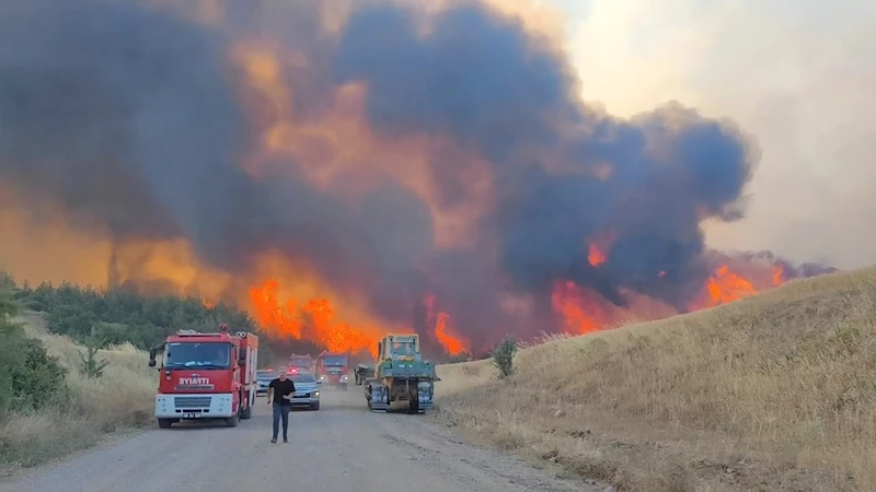 TEKİRDAĞ’DAKİ ORMAN YANGINI KONTROL ALTINA ALINDI
