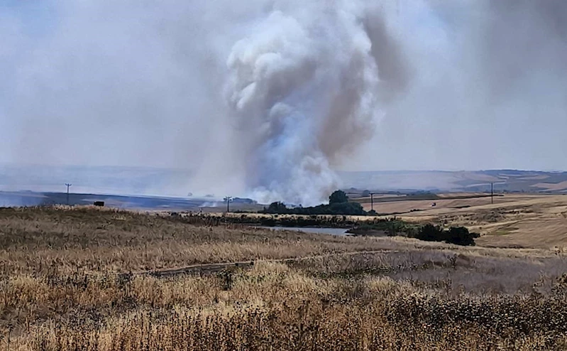 HAYRABOLU’DA ÇIKAN ANIZ YANGINI SÖNDÜRÜLDÜ