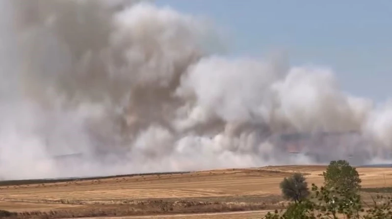 TEKİRDAĞ’DA ÇIKAN ANIZ YANGINI KONTROL ALTINA ALINDI