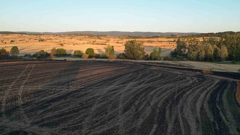 TEKİRDAĞ’DA 2 BİN 500 DÖNÜM EKİLİ ALAN VE 200 ADET ARI KOVANI YANDI