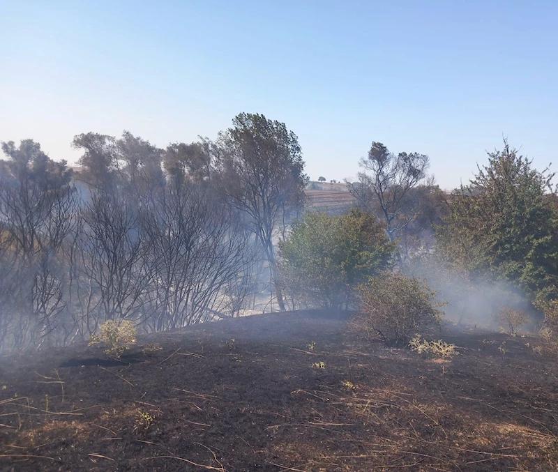 MURATLI’DA ANIZ YANGINI