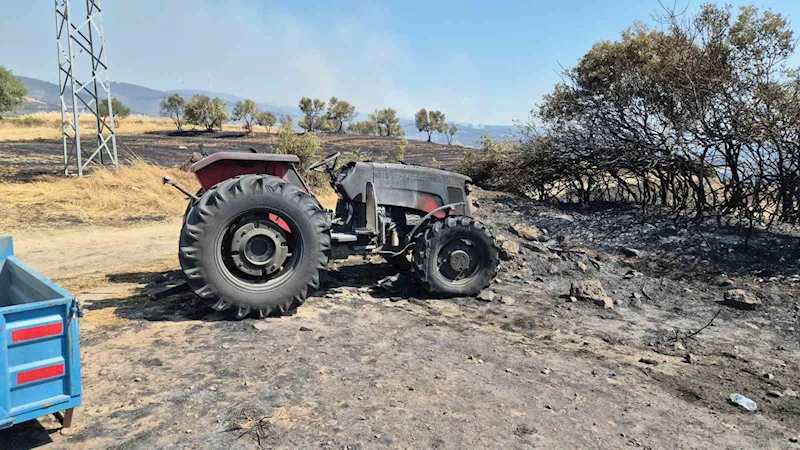 ŞARKÖY’DE ORMAN YANGININDA ARAÇLAR KÜLE DÖNDÜ
