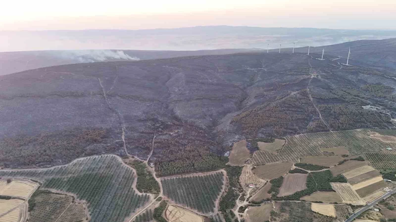 ŞARKÖY’DEKİ ORMAN YANGINI KONTROL ALTINA ALINDI