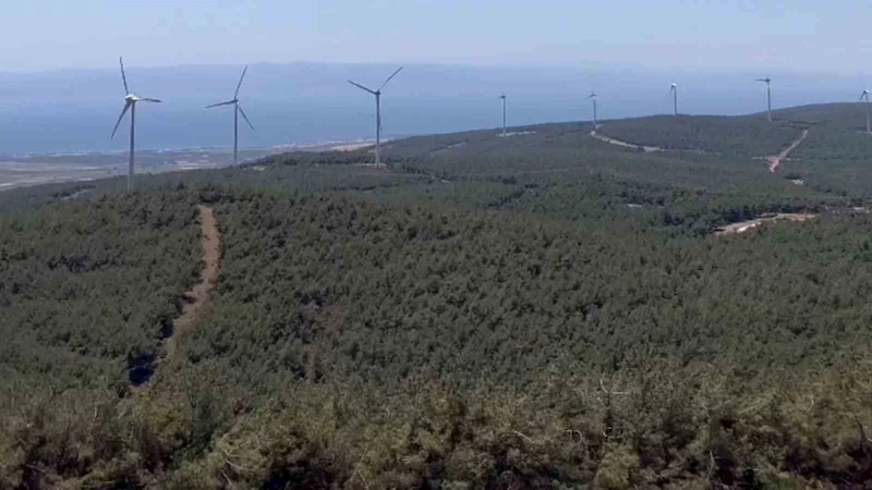 ŞARKÖY’DE ORMAN YANGININDA KÜLE DÖNEN ALANIN ÖNCESİ VE SONRASI YÜREK BURKTU