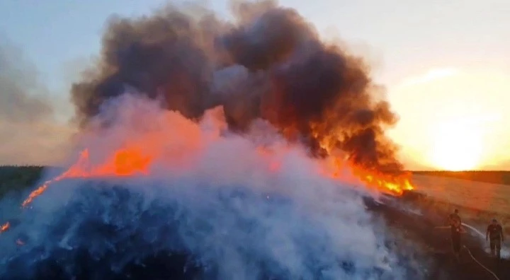 ALEV ALEV YANAN BUĞDAY TARLASINI SÖNDÜRMEK İÇİN SEFERBER OLDULAR