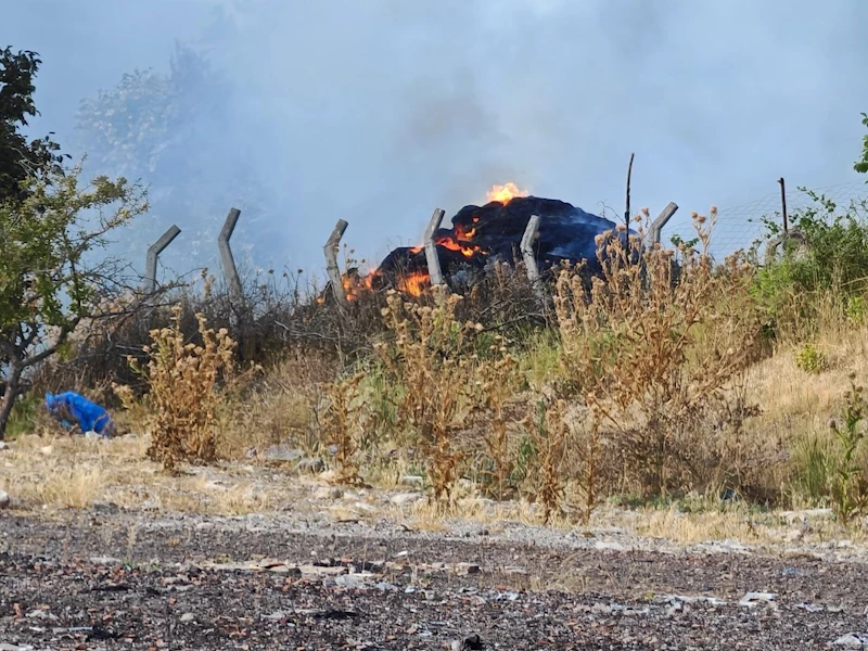 TEKİRDAĞ’DA ANIZ YANGINI ORMANLIK ALANA SIÇRADI