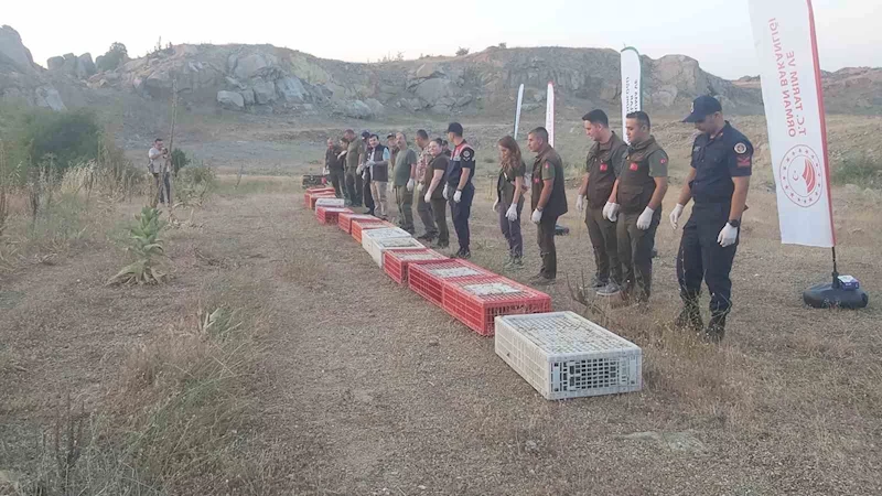 DOĞAYA KEKLİK SALINDI