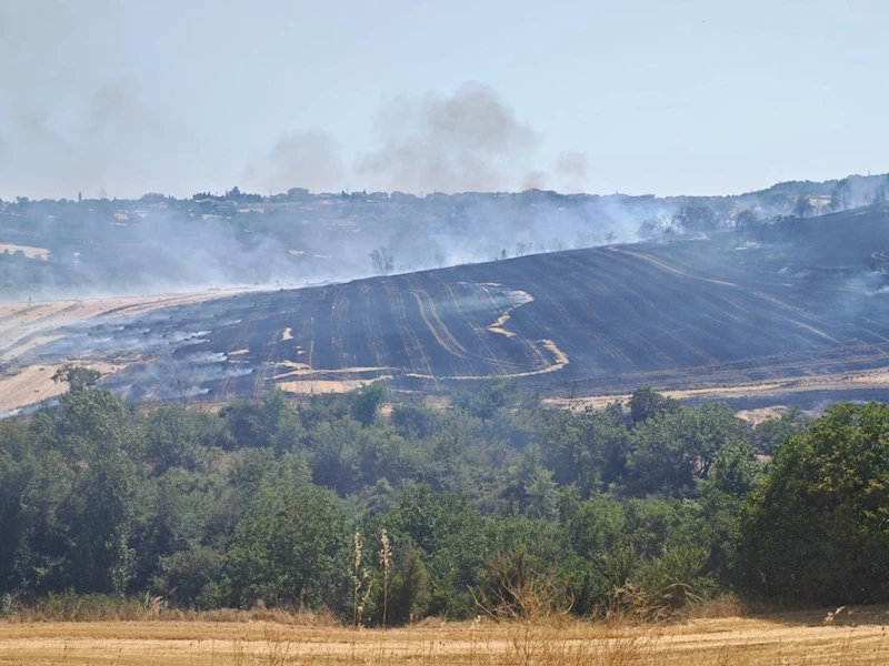 MALKARA’DA ANIZ YANGINI 200 DÖNÜMLÜK ARAZİDE TAHRİBATA YOL AÇTI