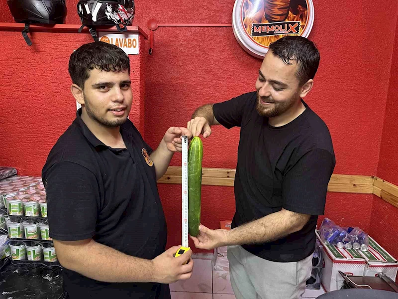 MURATLI’DA DEV SALATALIK GÖRENLERİ HAYRETE DÜŞÜRDÜ