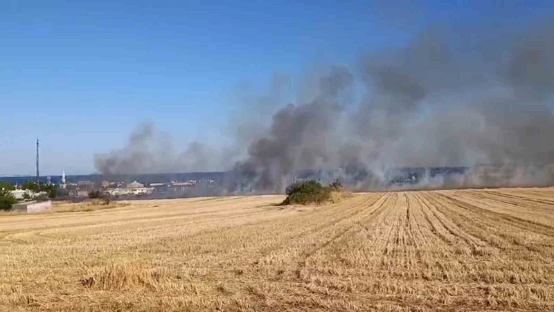 YOL KENARINA ATIDIĞI İDDİA EDİLEN İZMARİT YANGIN ÇIKARDI: TEKİRDAĞ-İSTANBUL YOLU DUMANLARLA KAPLANDI