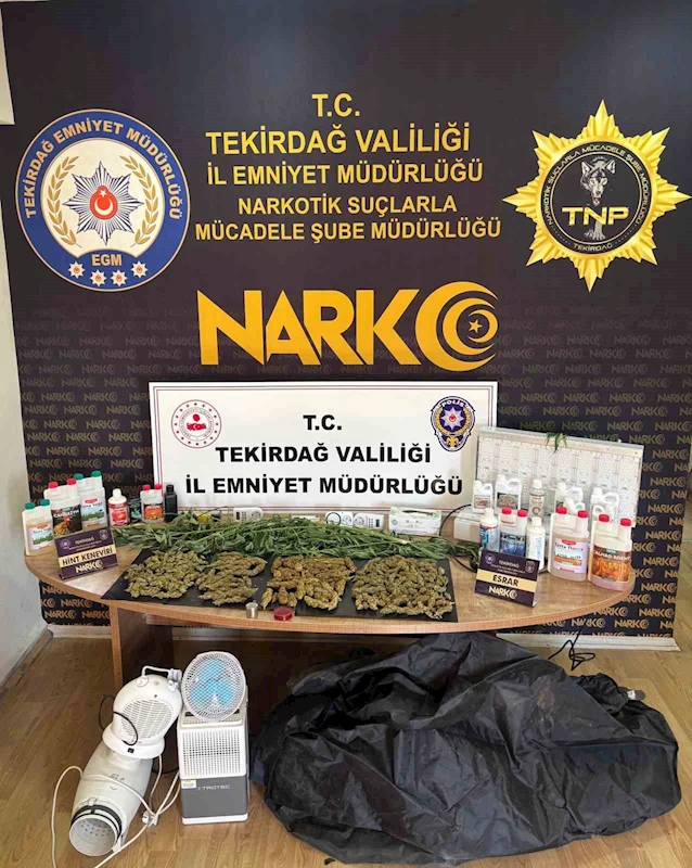 TEKİRDAĞ’DA UYUŞTURUCU OPERASYONU: ESRAR VE KENEVİR ELE GEÇİRİLDİ