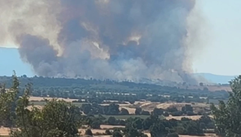 BULGARİSTAN’DAKİ ORMAN YANGINI TÜRKİYE SINIRINA DAYANDI