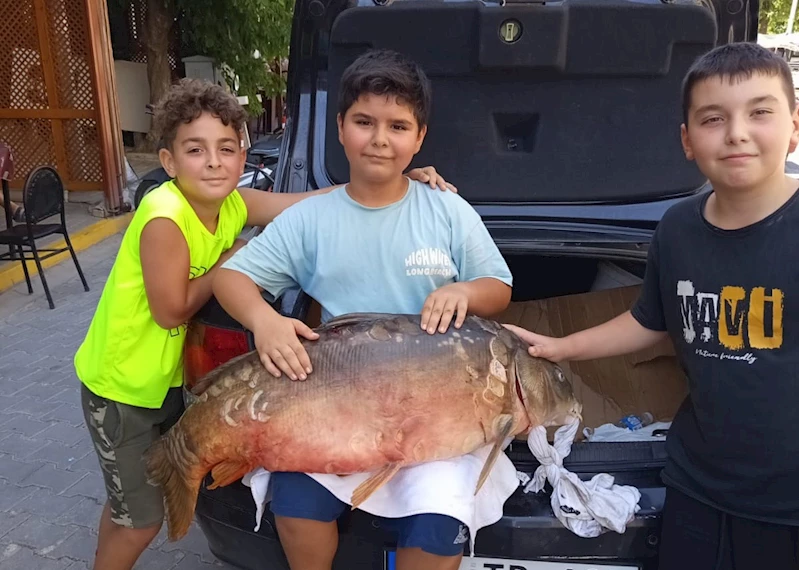TEKİRDAĞ’DA AMATÖR BALIKÇI 38 KİLOLUK SAZAN YAKALADI