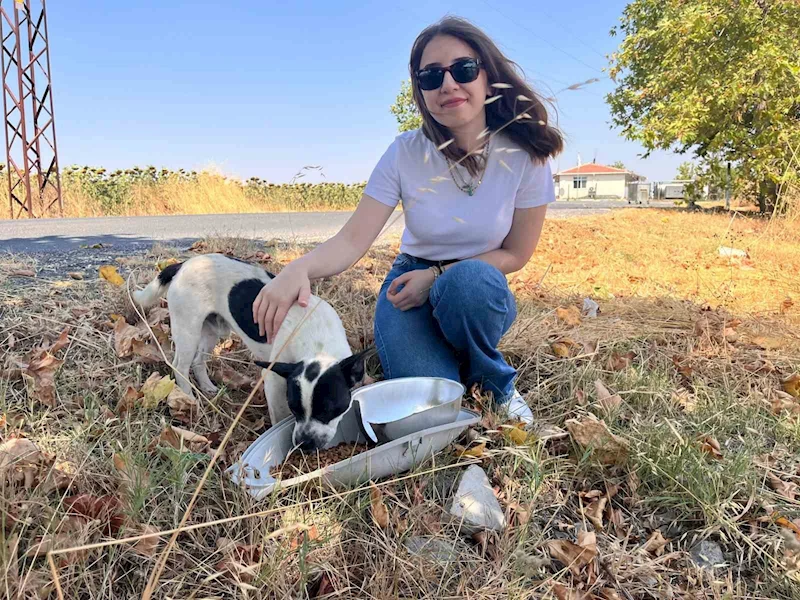 ARMATÜRLER SOKAK HAYVANLARI İÇİN MAMA VE SU KABINA DÖNÜŞTÜRÜLÜYOR