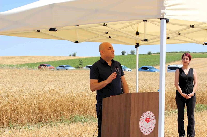 KIRKLARELİ’NDE YERLİ VE MİLLİ BUĞDAY HASADI YAPILDI