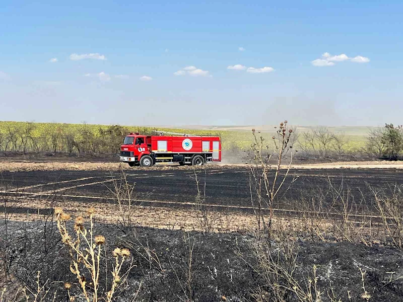 TEKİRDAĞ’DA ÇIKAN TARLA YANGINI SÖNDÜRÜLDÜ