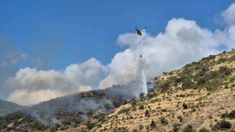 TEKİRDAĞ ŞARKÖY’DE MAKİLİK ALANDA ÇIKAN YANGINA MÜDAHALE EDİLİYOR