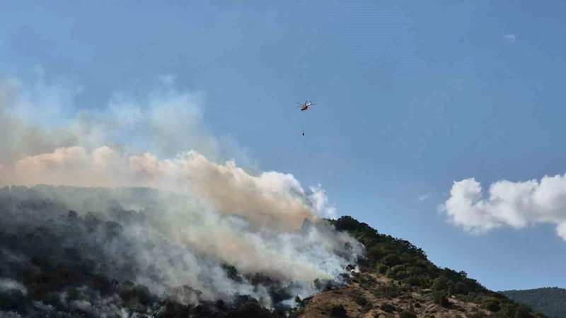 TEKİRDAĞ’DA SABAH SÖNDÜRÜLEN YANGIN, ÖĞLEDEN SONRA YENİDEN BAŞLADI