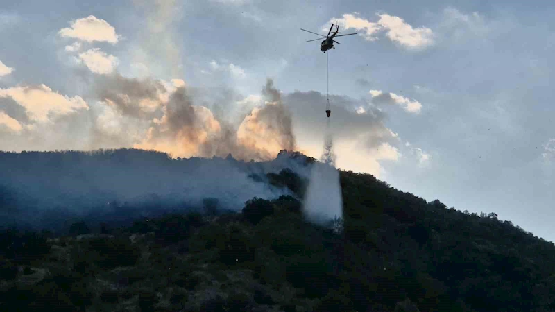 TEKİRDAĞ’DA ORMAN YANGININA MÜDAHALE SÜRÜYOR
