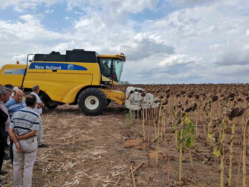TEKİRDAĞ’DA ANIZA EKİM AYÇİÇEĞİ PROJESİNDE TARLA GÜNÜ DÜZENLENDİ