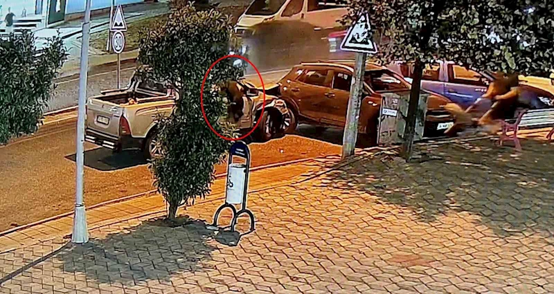 ALKOLLÜ SÜRÜCÜ 4 ARACA ÇARPARAK DURABİLDİ: KÖPEĞİ CAN HAVLİYLE CAMDAN FIRLADI