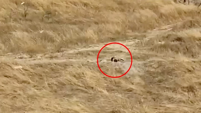 KAPAKLI’DA GÜPEGÜNDÜZ BOŞ ALANDA UYGUNSUZ GÖRÜNTÜLERE TEPKİ