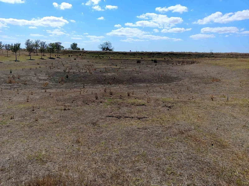 BALLIHOCA SULAMA GÖLETİ KURUDU