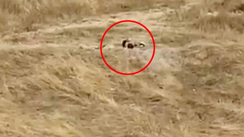  UYGUNSUZ HAREKETLER SERGİLEYEN İKİ GENÇ GÖZALTINA ALINDI