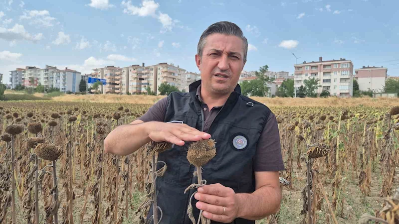 KENDİLERİNE KEPÇEYLE, ÇİFTÇİYE ÇAY KAŞIĞIYLA: TRAKYA BİRLİK’E TEPKİ BÜYÜYOR