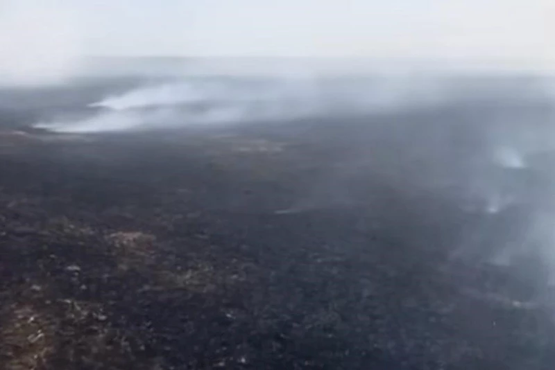 HAYRABOLU’DA ANIZ YANGINI KONTROL ALTINA ALINDI