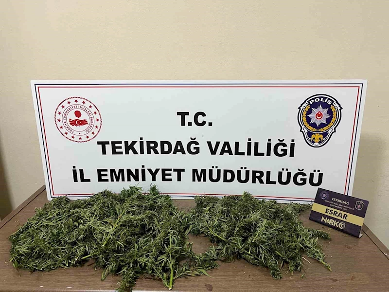 TEKİRDAĞ’DA UYUŞTURUCU OPERASYONU: 2 KİŞİ TUTUKLANDI
