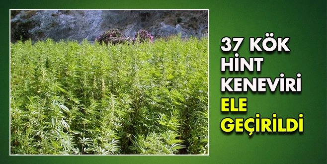 MURATLI?DA OPERASYON