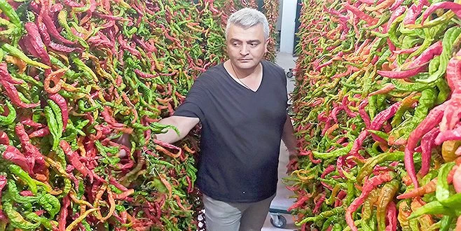 EDİRNE?DE CİĞERCİ ESNAFI 80 TON ACI BİBER KURUTUYOR