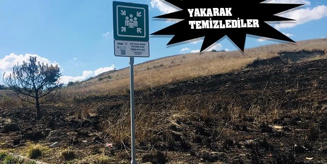 BURASI DEPREM SONRASI TOPLANMA ALANIMIZ