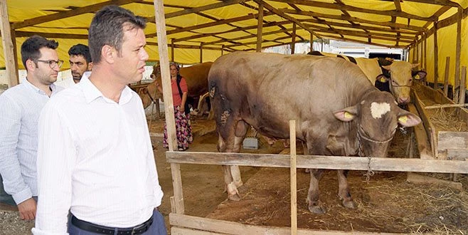 BAŞKAN SARIKURT KURBAN PAZARI`NDA