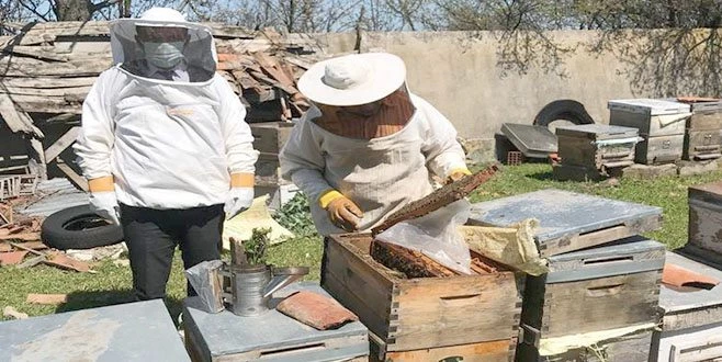 TEKİRDAĞ?DA ARI KOVANLARI BAKIMDAN GEÇİYOR
