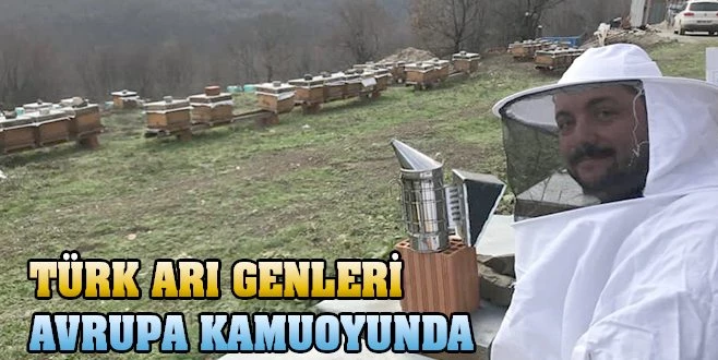 MİLLİ ARI GENLERİNE AVRUPA?DAN 1 MİLYON 750 BİN LİRA DESTEK