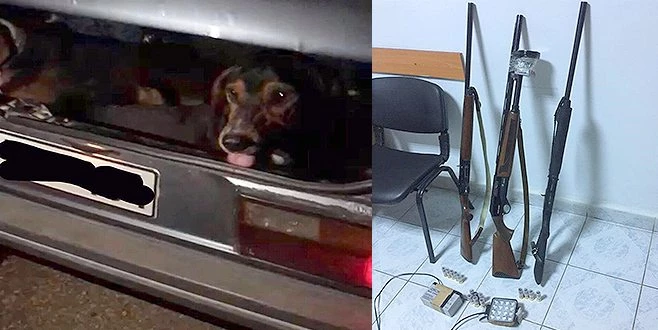 ARACIN BAGAJINDA AV KÖPEKLERİYLE YAKALANDILAR
