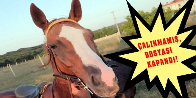 ÇAĞRIBEY`İ KÖPEKLER YEMİŞ!