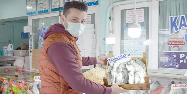 KARADENİZ?DEN ÇIKAN 20 TONLUK MÜJDE KISA SÜRDÜ